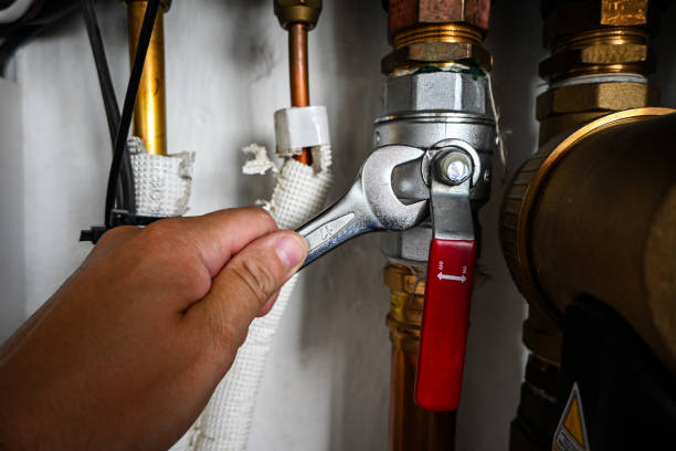 Best Septic Systems  in Bloomingdale, FL